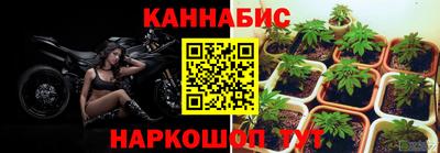 амф Рыбинск