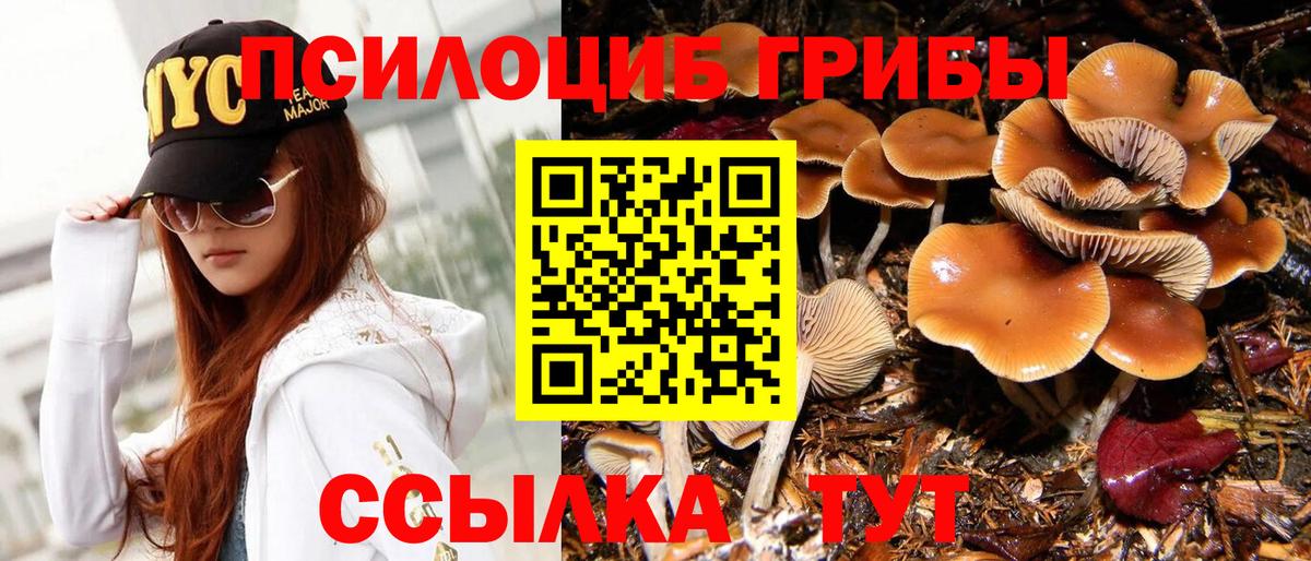 хочу наркоту  Псилоцибиновые грибы Magic Shrooms  Вход с VPN  Петропавловск-Камчатский  Галлюциногенные грибы мицелий 