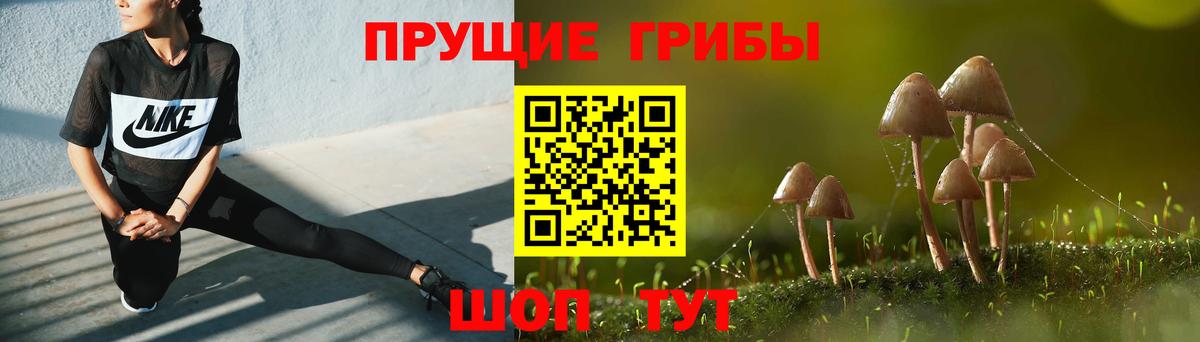 Галлюциногенные грибы Psilocybe Петропавловск-Камчатский